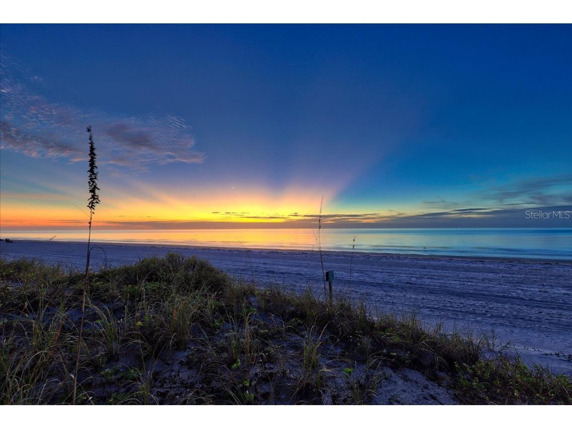 2900 Gulf Boulevard #107 Belleair Beach FL 33786 - GULF OF AMERICA TB8405485 image40