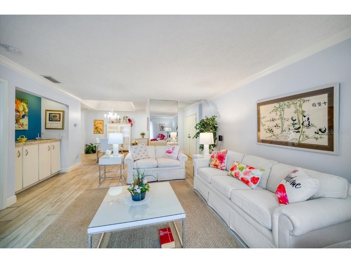 2900 Gulf Boulevard #107 Belleair Beach FL 33786 - GULF OF AMERICA TB8405485 image7