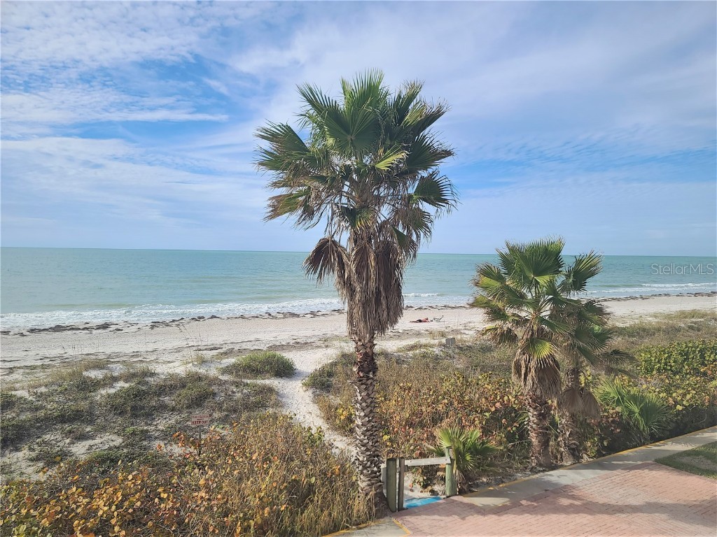 2900 Gulf Boulevard #204 Belleair Beach FL 33786 - GULF OF MEXICO U8224632 image33