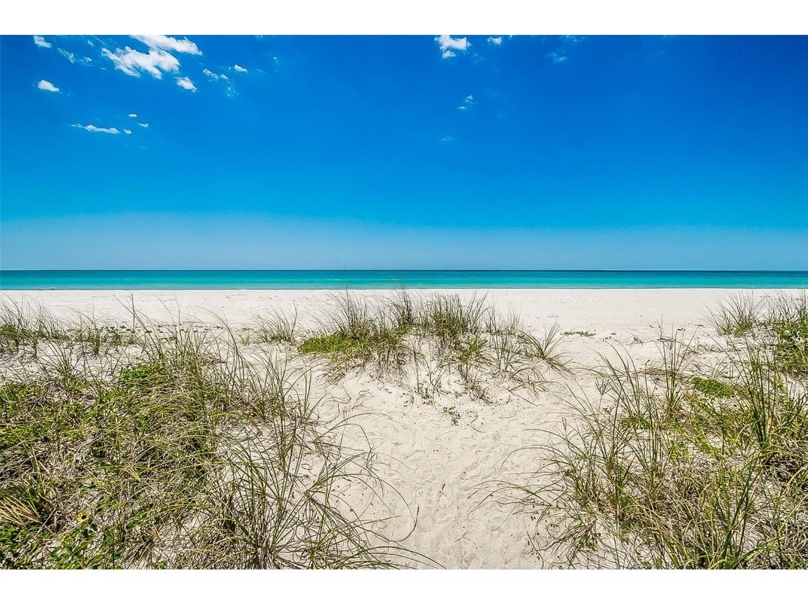 2900 Gulf Boulevard #204 Belleair Beach FL 33786 - GULF OF MEXICO U8224632 image35