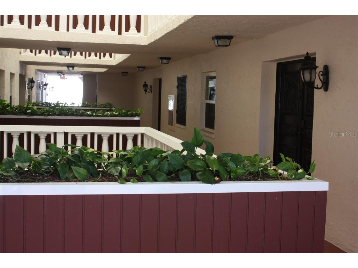 2900 Gulf Boulevard #206 Belleair Beach FL 33786 TB8346546 image7