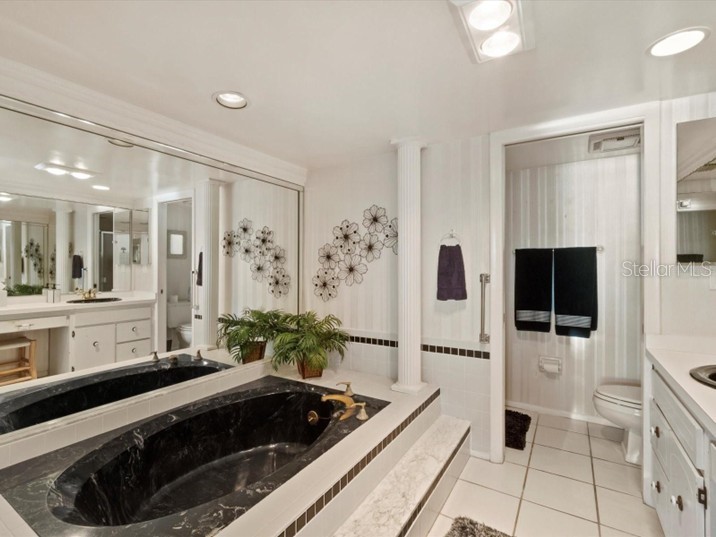 2900 Gulf Boulevard #211 Belleair Beach FL 33786 TB8461588 image29