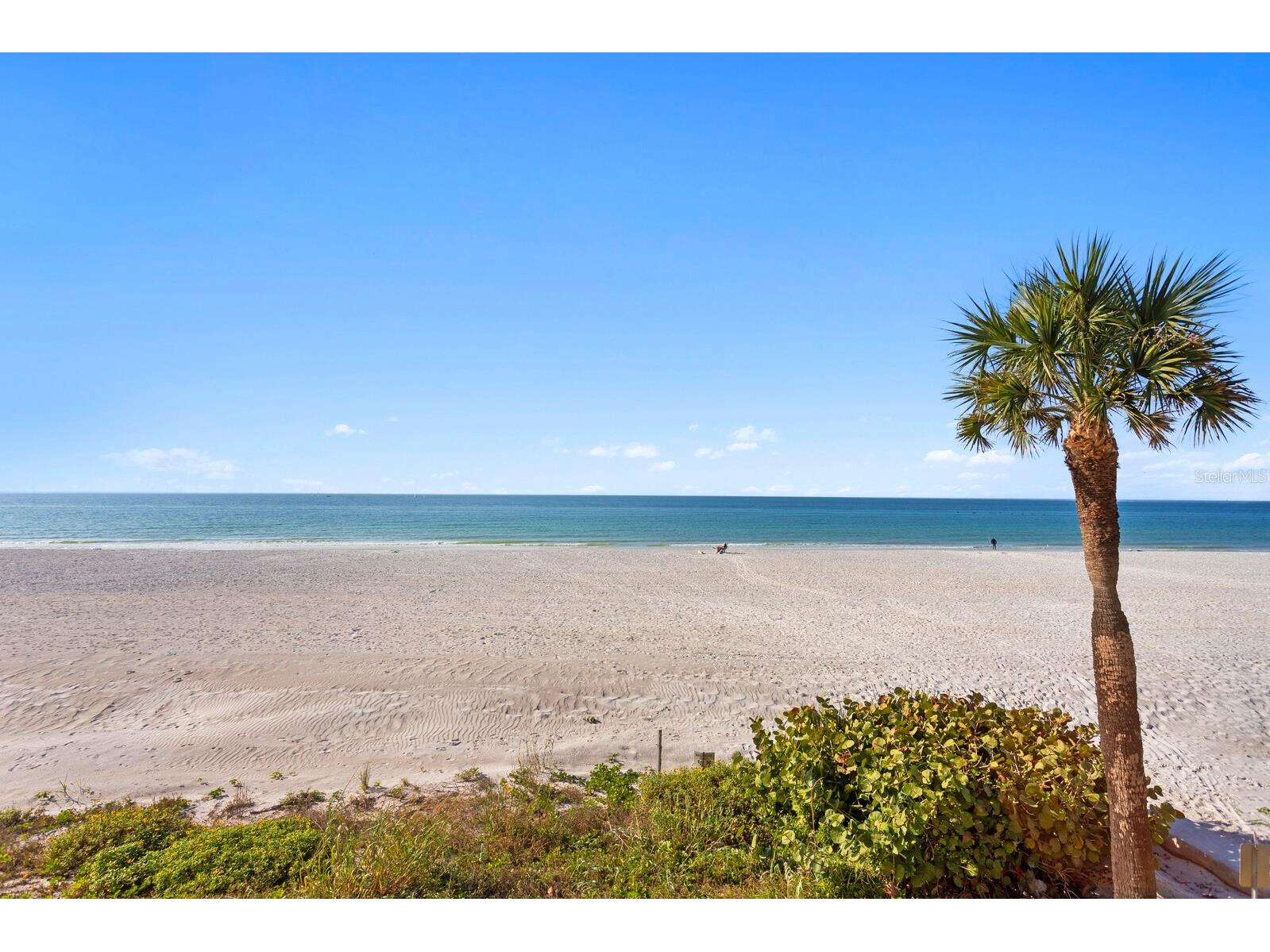 2900 Gulf Boulevard #211 Belleair Beach FL 33786 TB8461588 image4