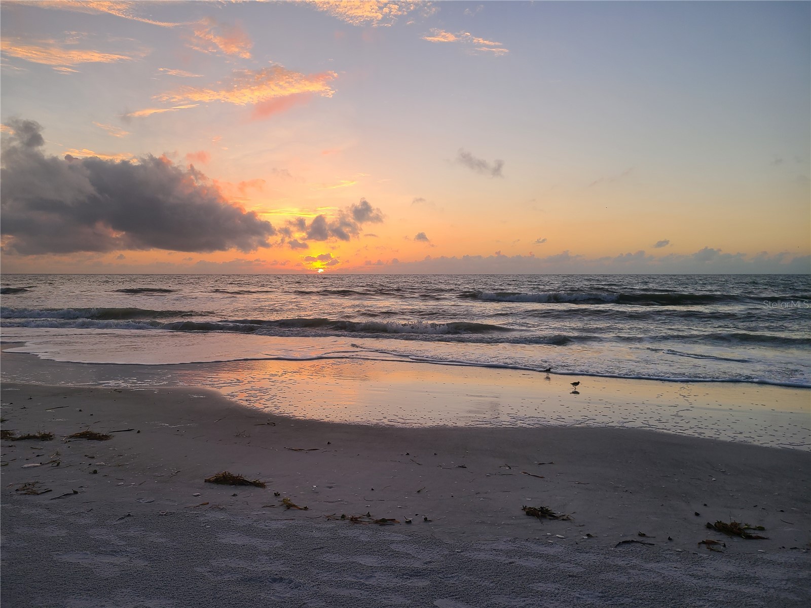 2900 Gulf Boulevard #211 Belleair Beach FL 33786 TB8461588 image8
