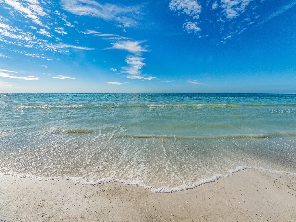 2900 Gulf Boulevard #307 Belleair Beach FL 33786 TB8449016 image32