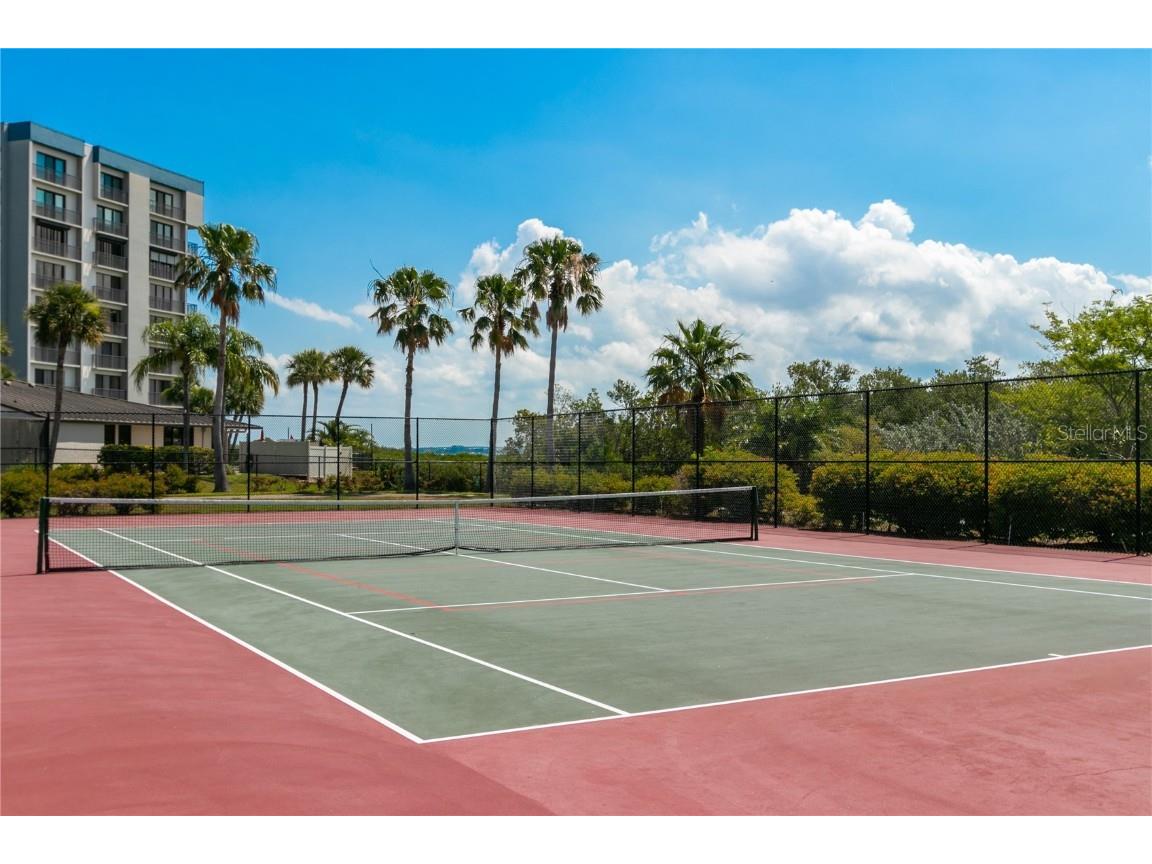 2900 Gulf Boulevard #307 Belleair Beach FL 33786 TB8449016 image44