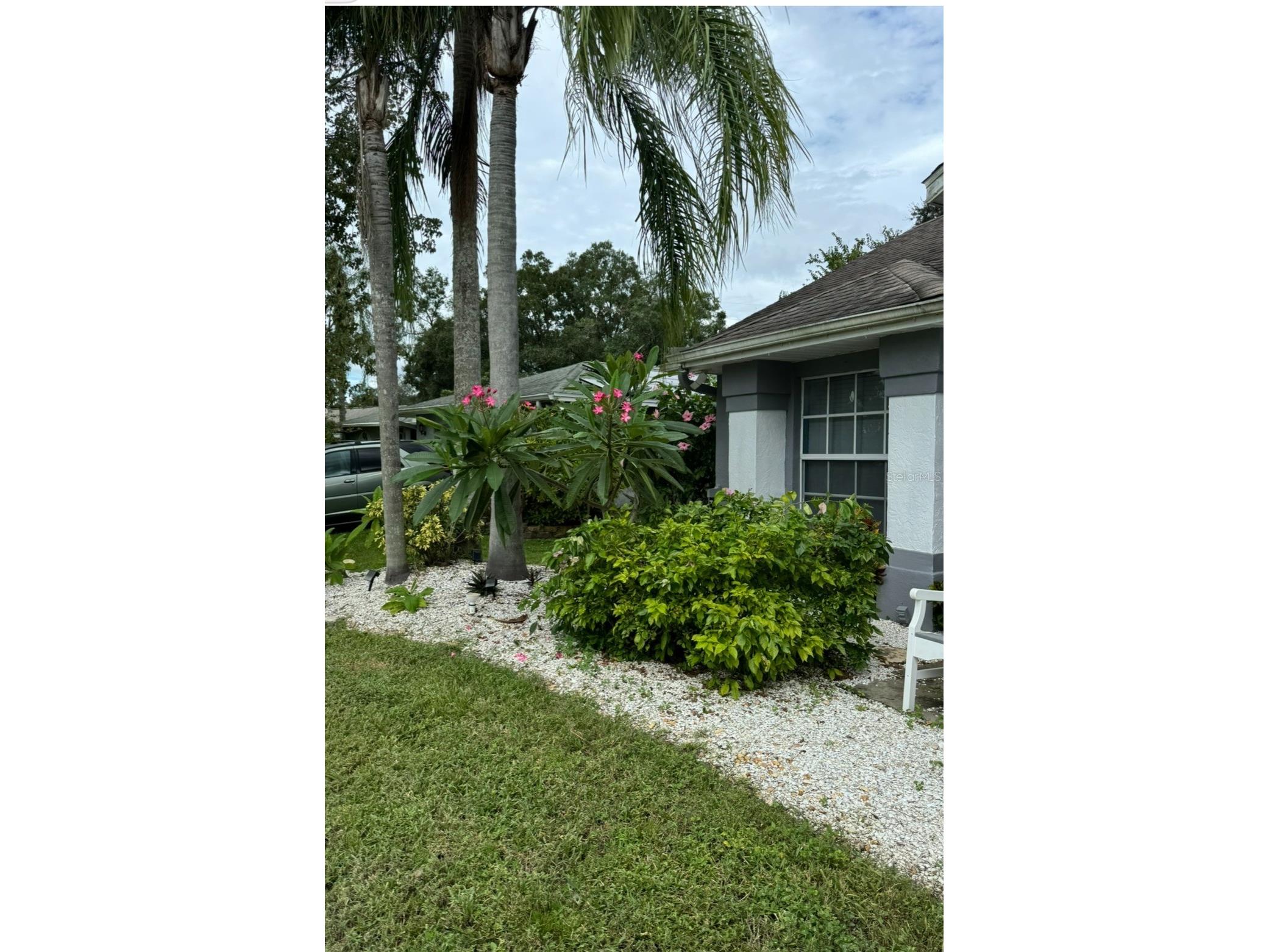 2900 Lake Saxon Drive Land O Lakes FL 34639 - LAKE SAXON TB8487075 image59