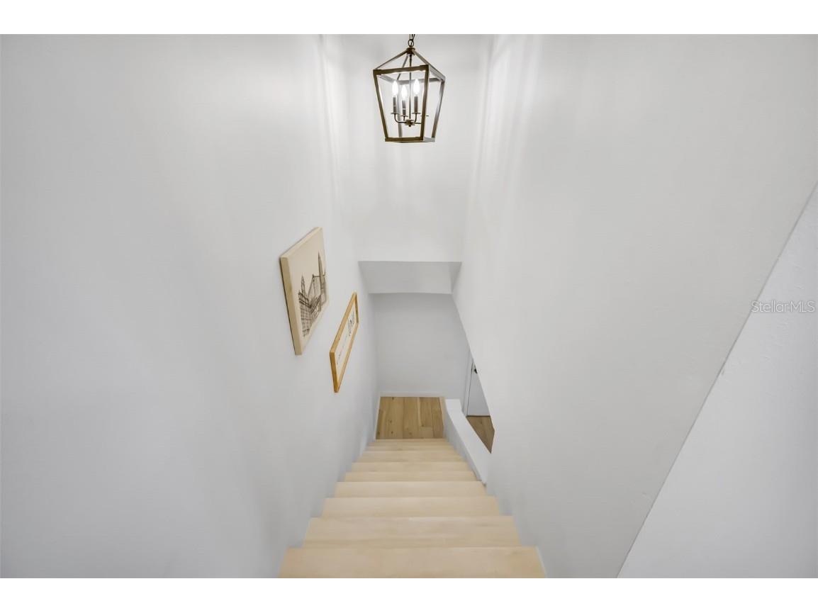 2900 Lichen Lane #B Clearwater FL 33760 TB8442387 image13