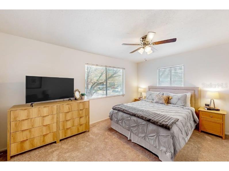 2900 Lichen Lane #B Clearwater FL 33760 TB8442387 image18