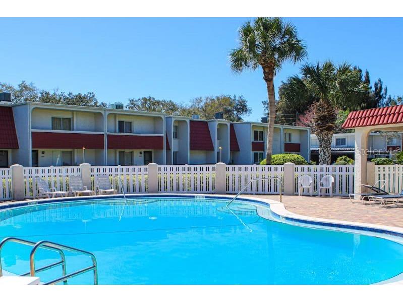 2900 Lichen Lane #B Clearwater FL 33760 TB8442387 image2