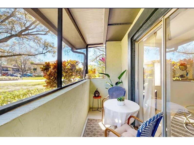 2900 Lichen Lane #B Clearwater FL 33760 TB8442387 image4