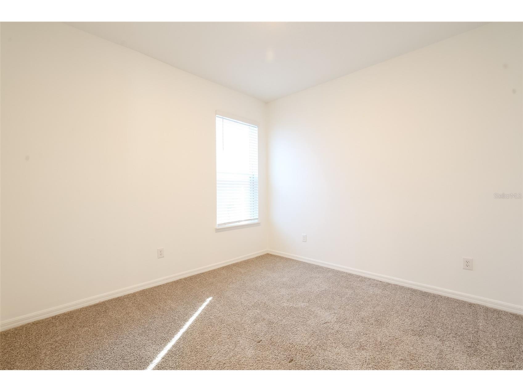 2900 Lilla Trail Odessa FL 33556 W7882219 image34