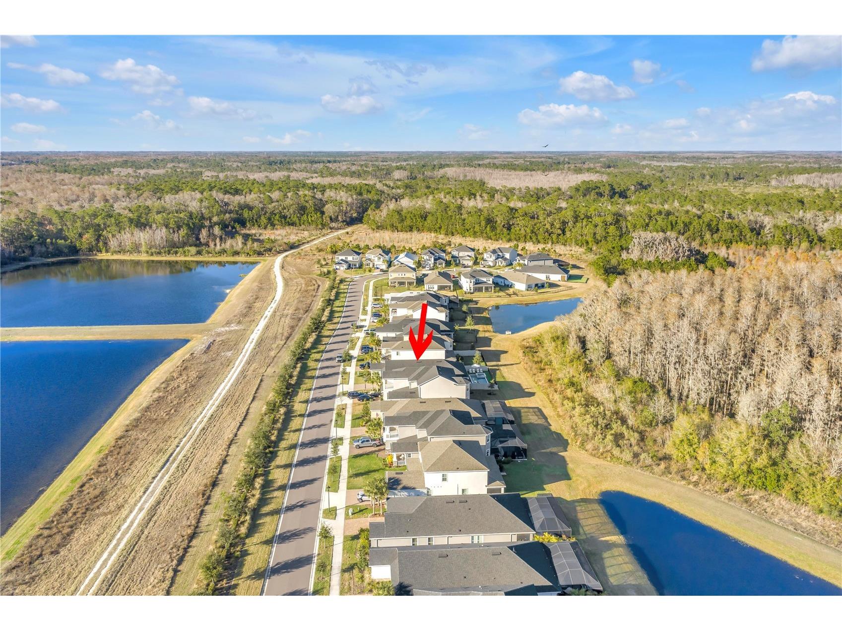 2900 Lilla Trail Odessa FL 33556 W7882219 image48