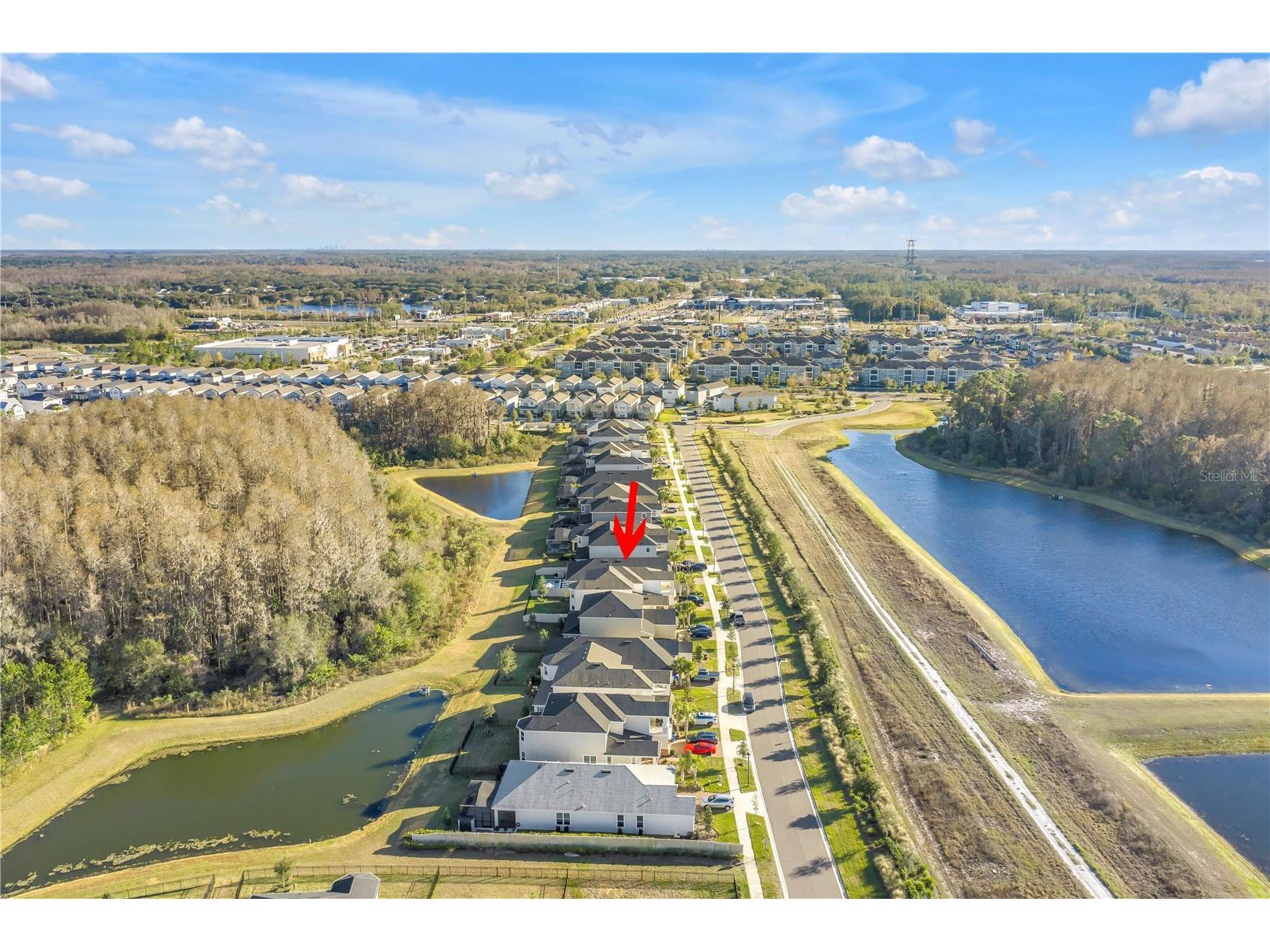 2900 Lilla Trail Odessa FL 33556 W7882219 image52