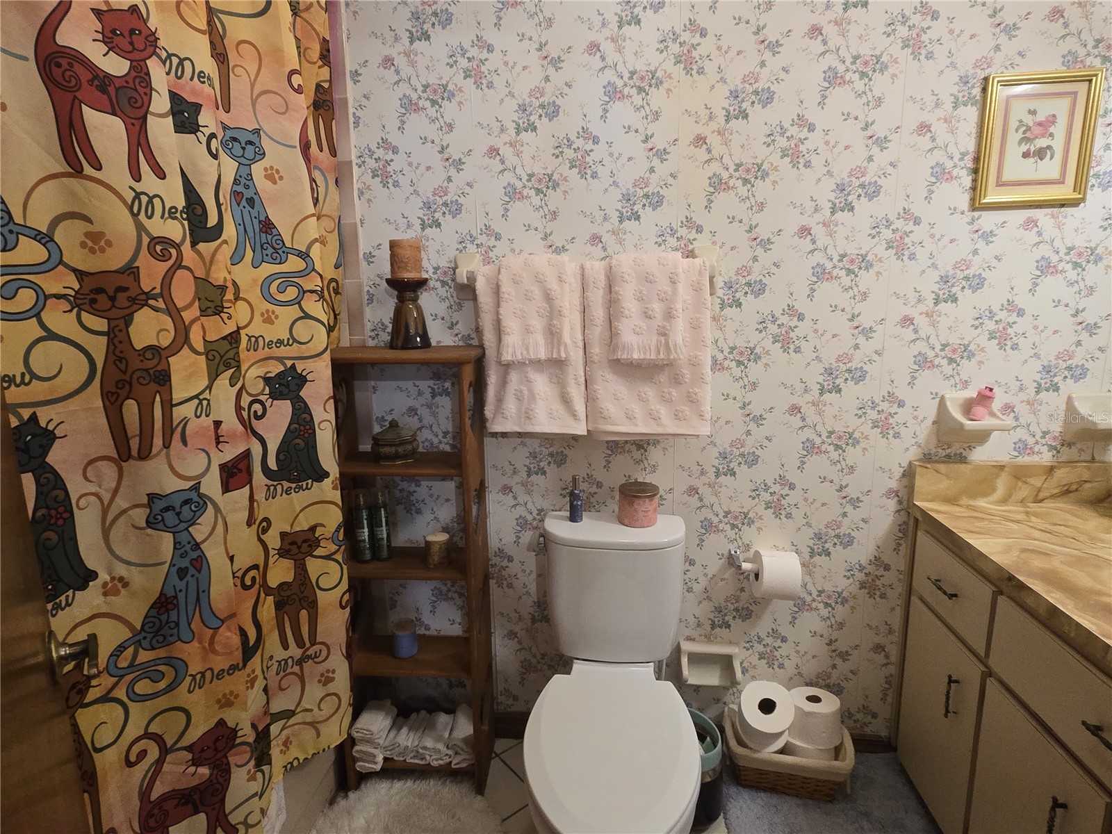 2900 NE 49th Street Ocala FL 34479 OM724451 image5