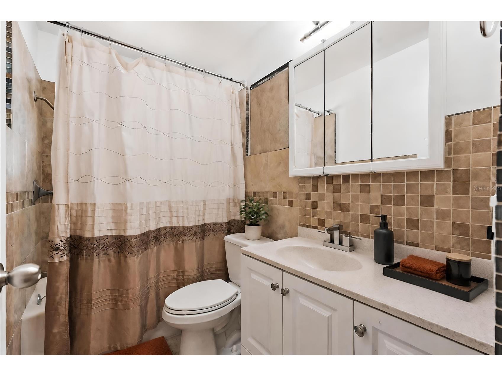 2900 Park Street N Saint Petersburg FL 33710 TB8515835 image48