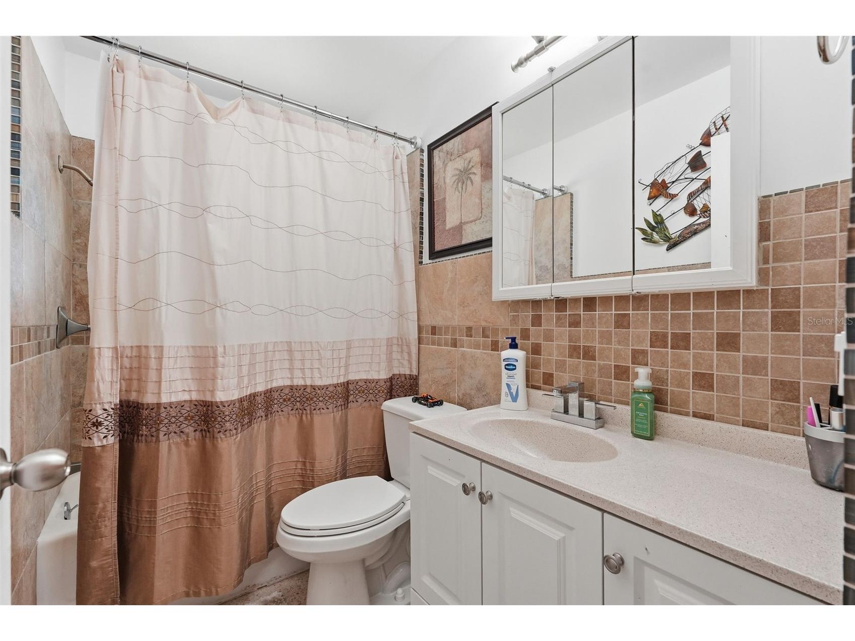 2900 Park Street N Saint Petersburg FL 33710 TB8515835 image49