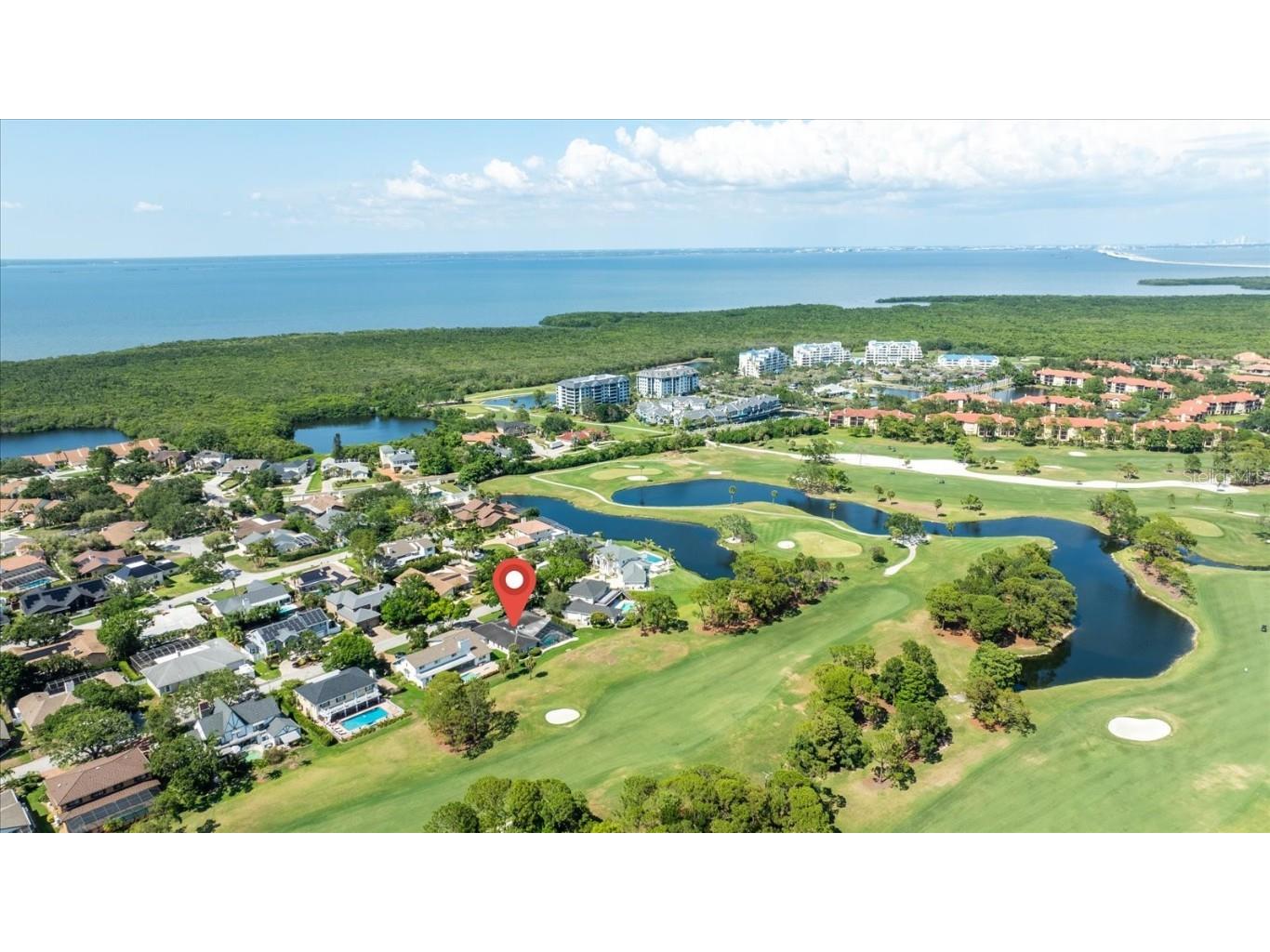 2900 Sandpiper Place Clearwater FL 33762 TB8390005 image49