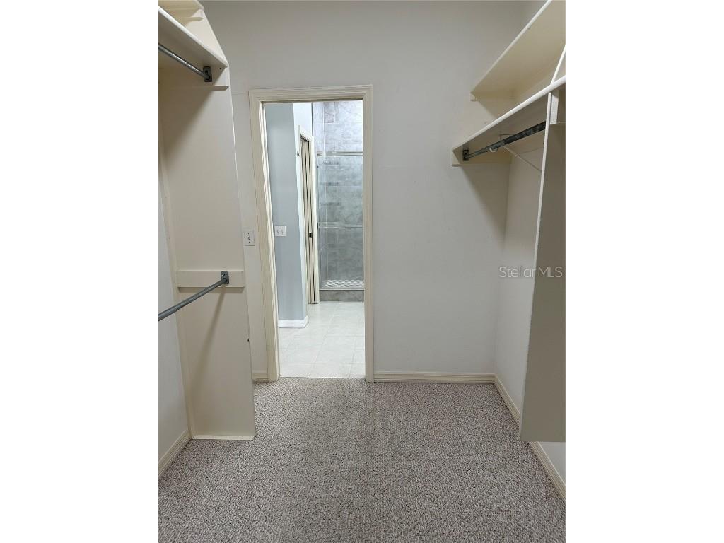 2900 W Azeele Street #H Tampa FL 33609 TB8352977 image13