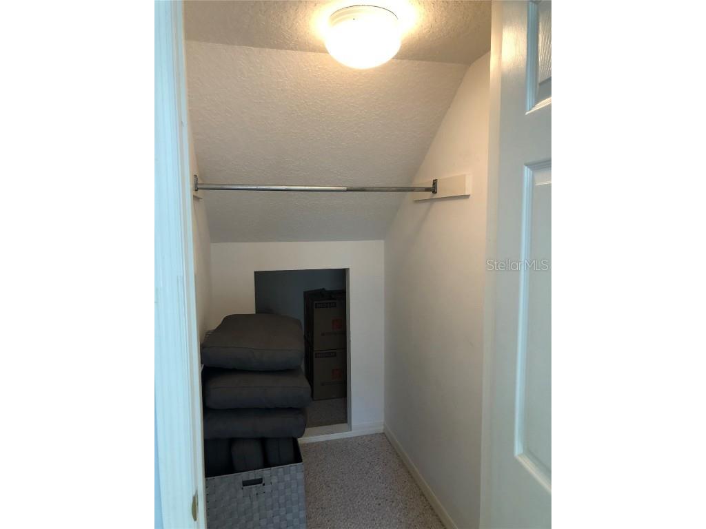 2900 W Azeele Street #H Tampa FL 33609 TB8352977 image21