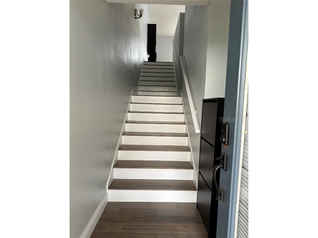 2900 W Azeele Street #H Tampa FL 33609 TB8352977 image4