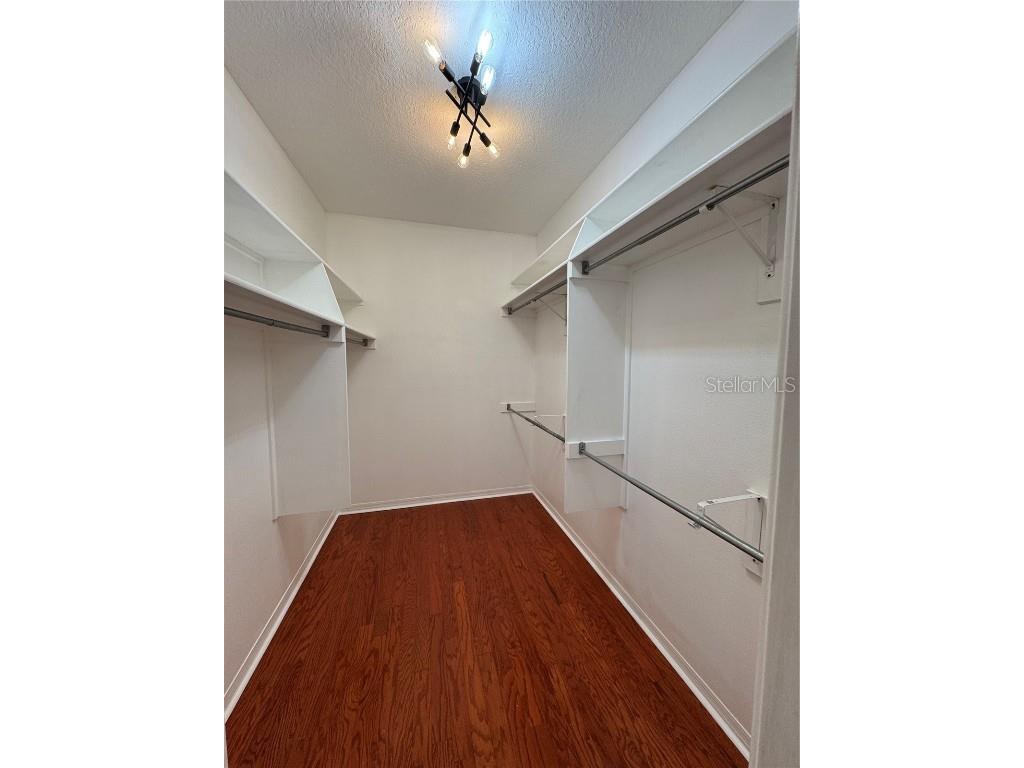 2900 W Azeele Street #M Tampa FL 33609 TB8431350 image13