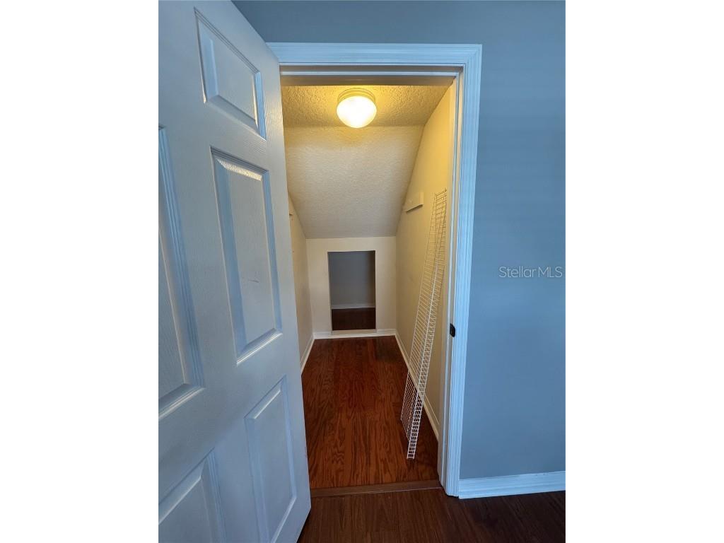 2900 W Azeele Street #M Tampa FL 33609 TB8431350 image22