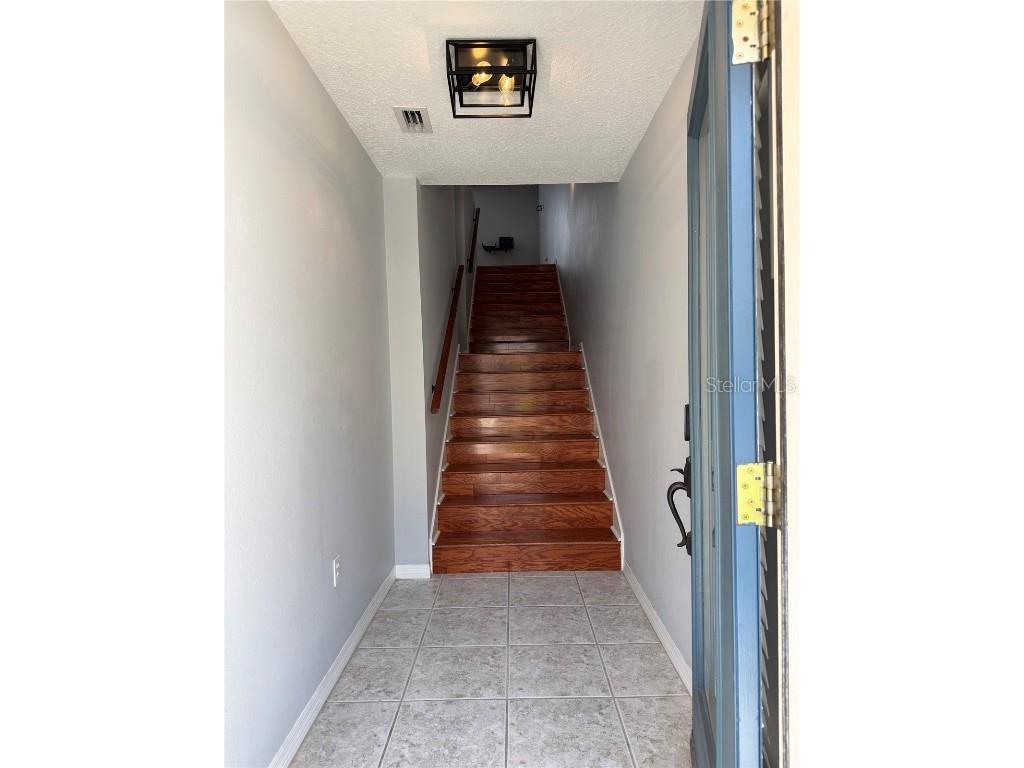 2900 W Azeele Street #M Tampa FL 33609 TB8431350 image4