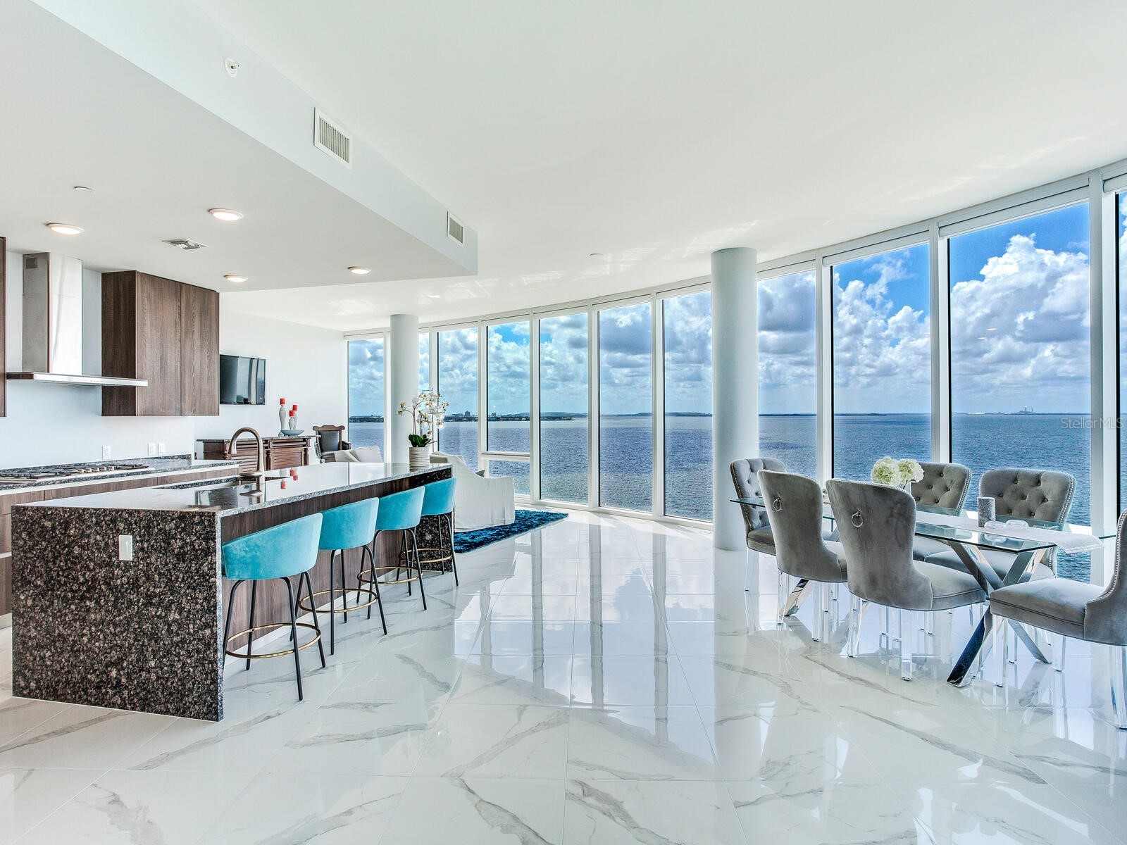 2900 W Bay To Bay Boulevard #1001 Tampa FL 33629 TB8511271 image2