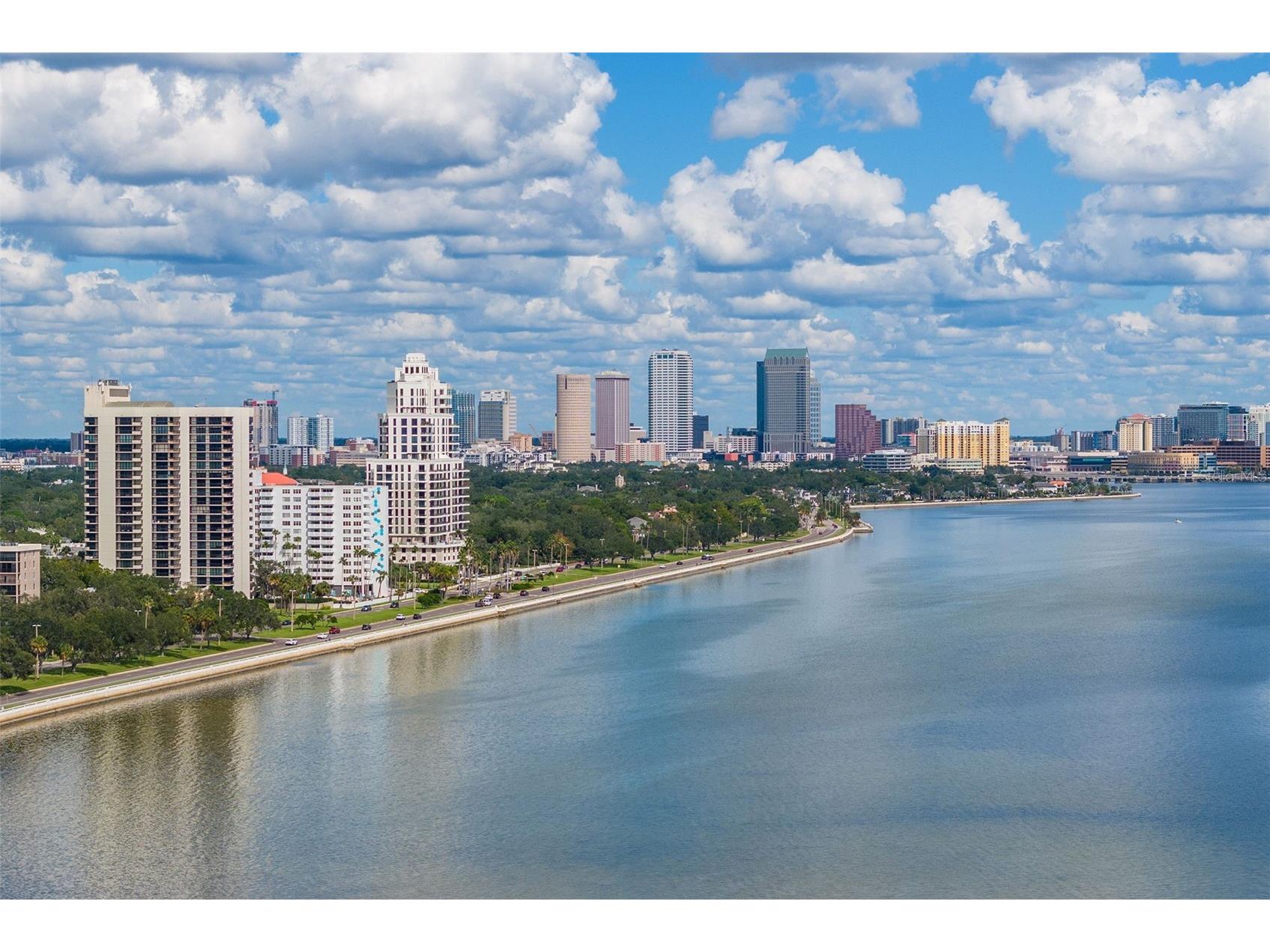 2900 W Bay To Bay Boulevard #1403 Tampa FL 33629 TB8522491 image64
