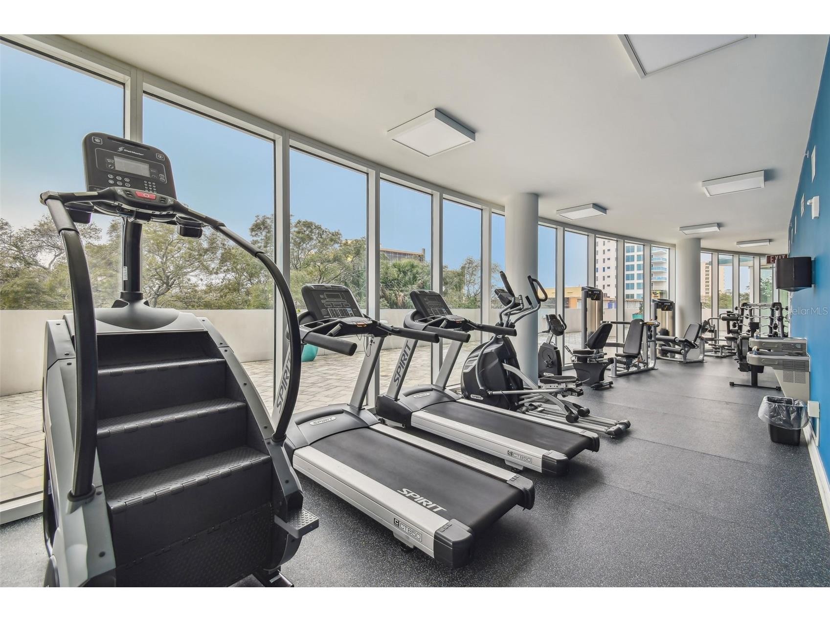 2900 W Bay To Bay Boulevard #501 Tampa FL 33629 TB8477480 image89