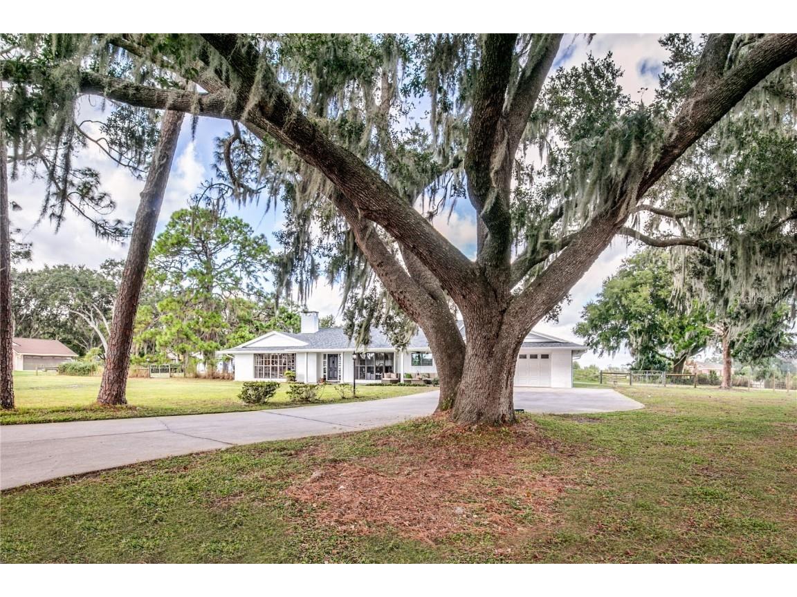 29000 Shirley Shores Rd Tavares FL 32778 - LAKE DIANE G5103120 image2