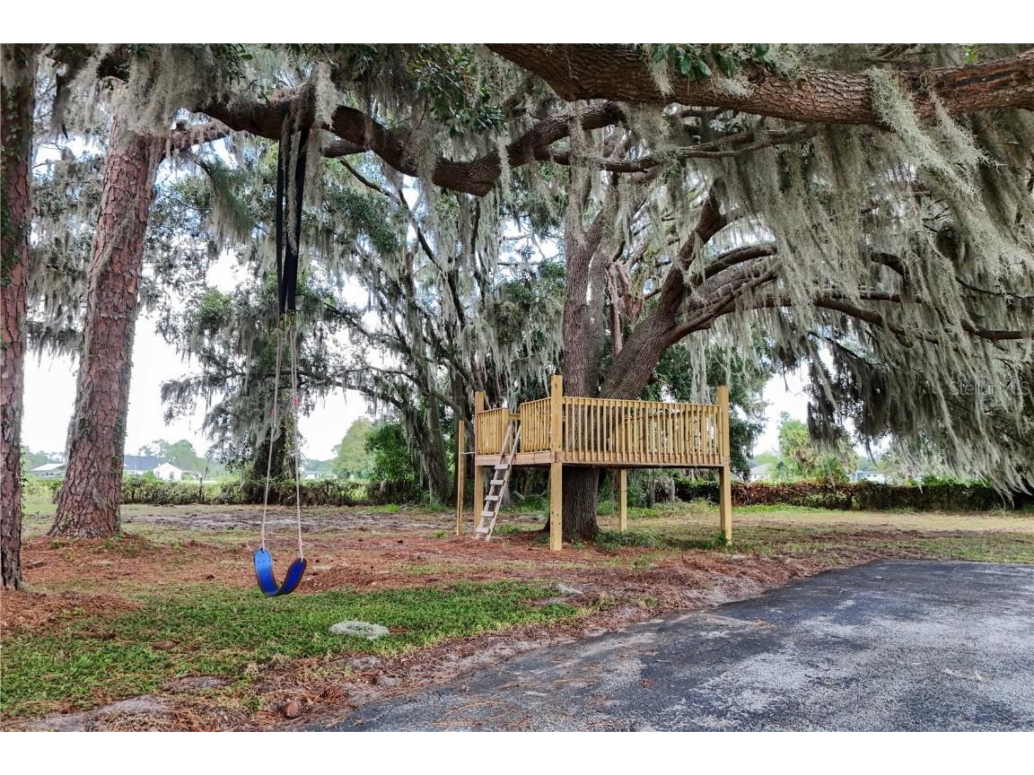 29000 Shirley Shores Rd Tavares FL 32778 - LAKE DIANE G5103120 image25