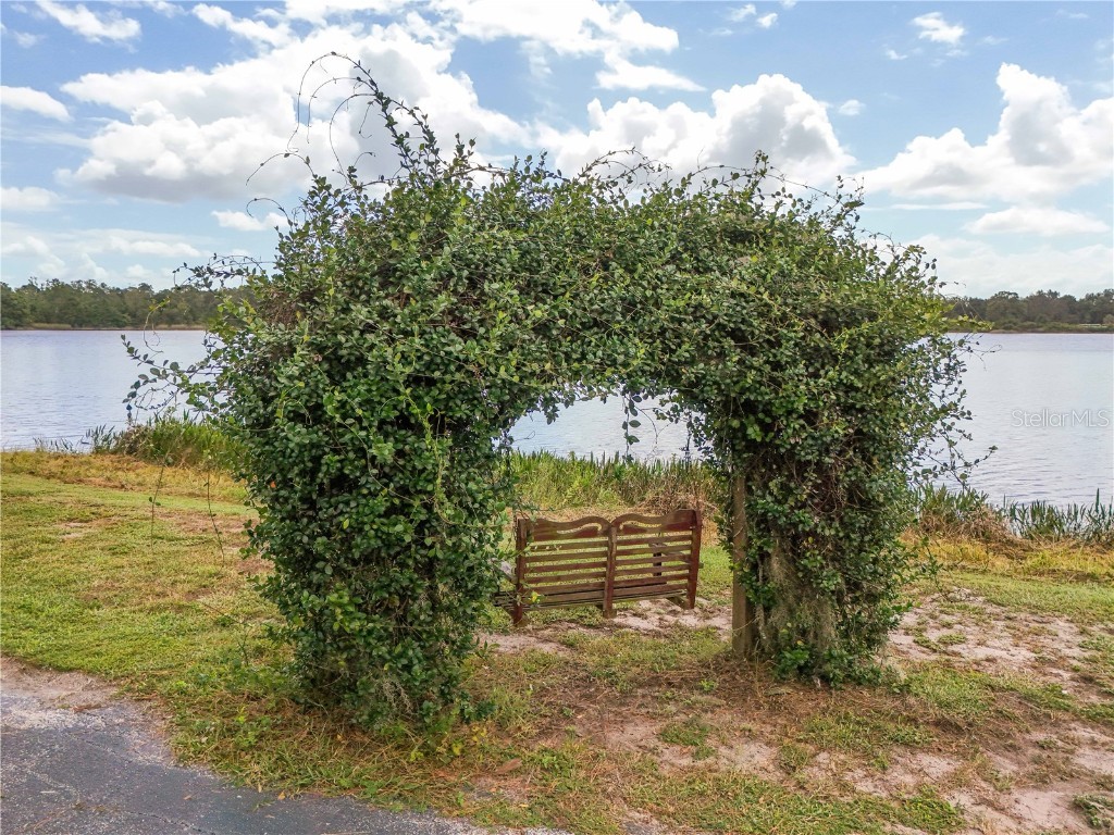 29000 Shirley Shores Rd Tavares FL 32778 - LAKE DIANE G5103120 image33