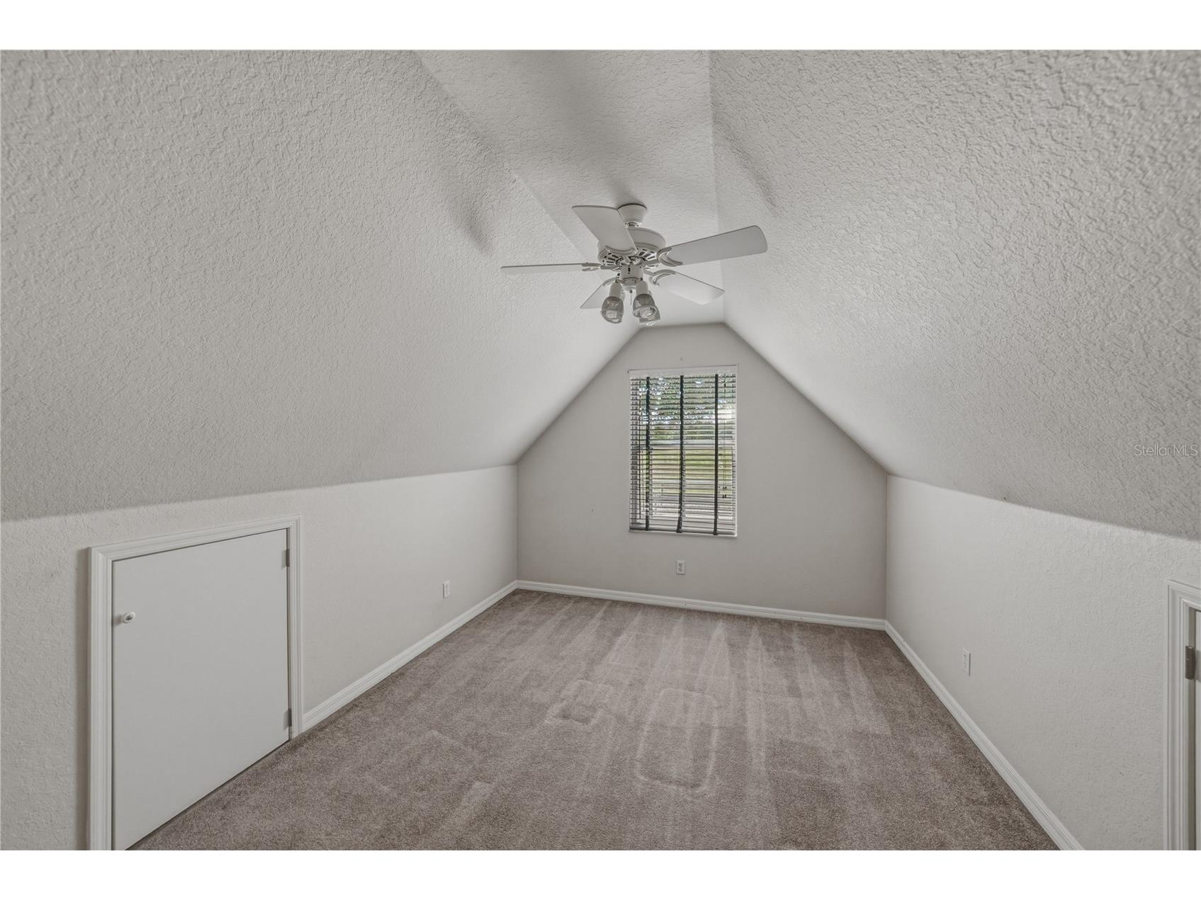 29001 Bayhead Road Dade City FL 33523 TB8500562 image50