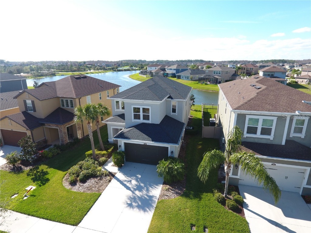 29003 Trevi Place Wesley Chapel FL 33543 O6093872 image1