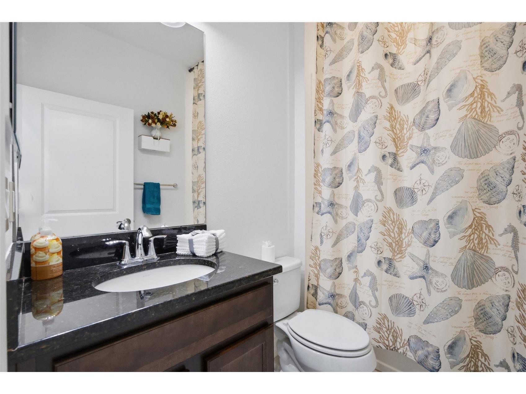 29003 Trevi Place Wesley Chapel FL 33543 TB8483382 image14