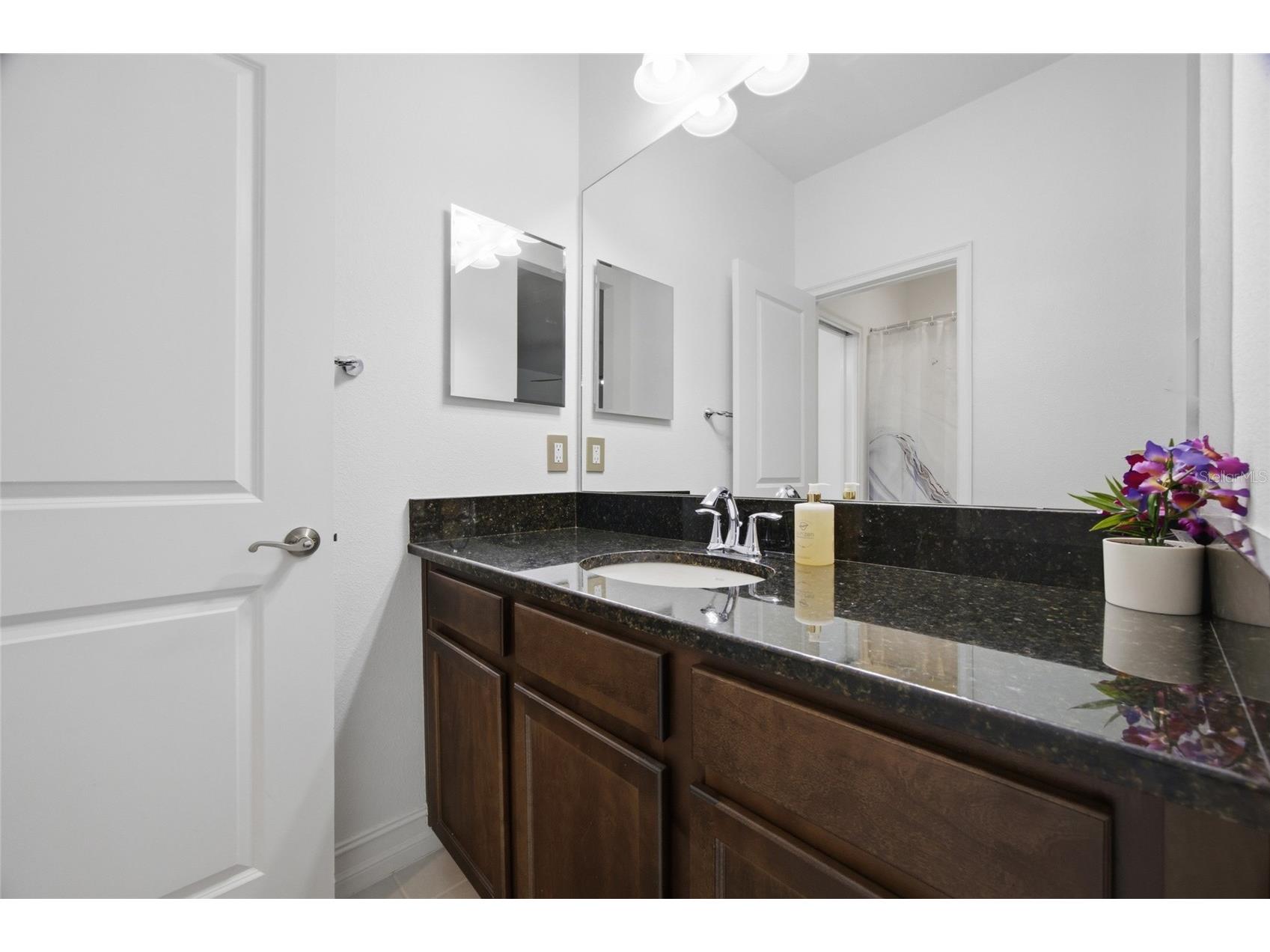 29003 Trevi Place Wesley Chapel FL 33543 TB8483382 image24
