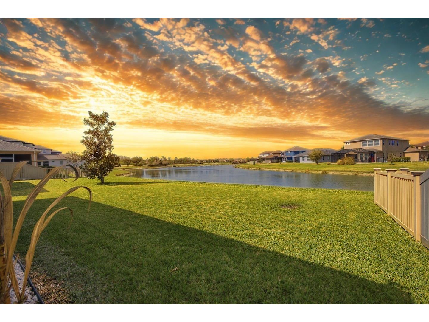 29003 Trevi Place Wesley Chapel FL 33543 TB8483382 image3