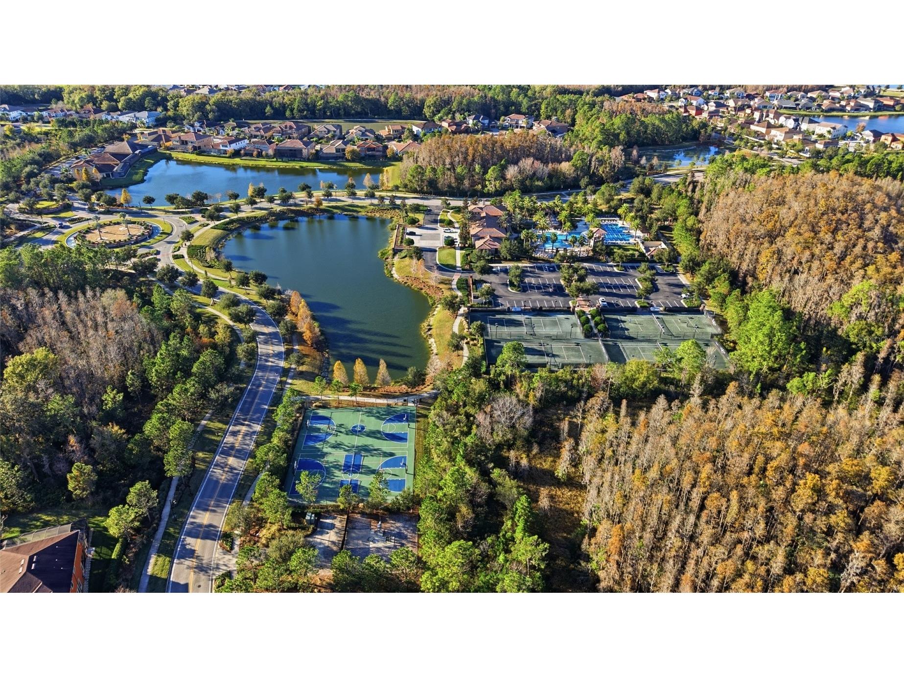 29003 Trevi Place Wesley Chapel FL 33543 TB8483382 image38