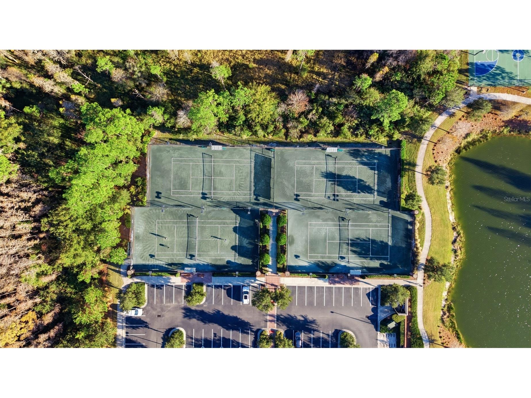 29003 Trevi Place Wesley Chapel FL 33543 TB8483382 image40