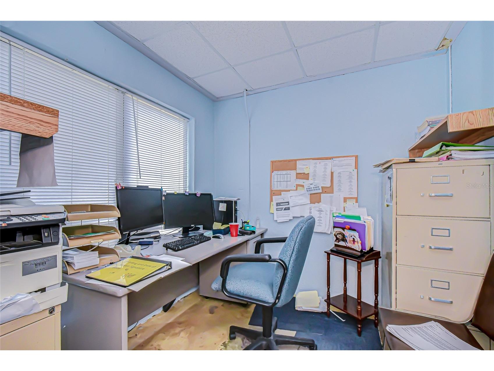 2901 58th Avenue N Saint Petersburg FL 33714 TB8457861 image23