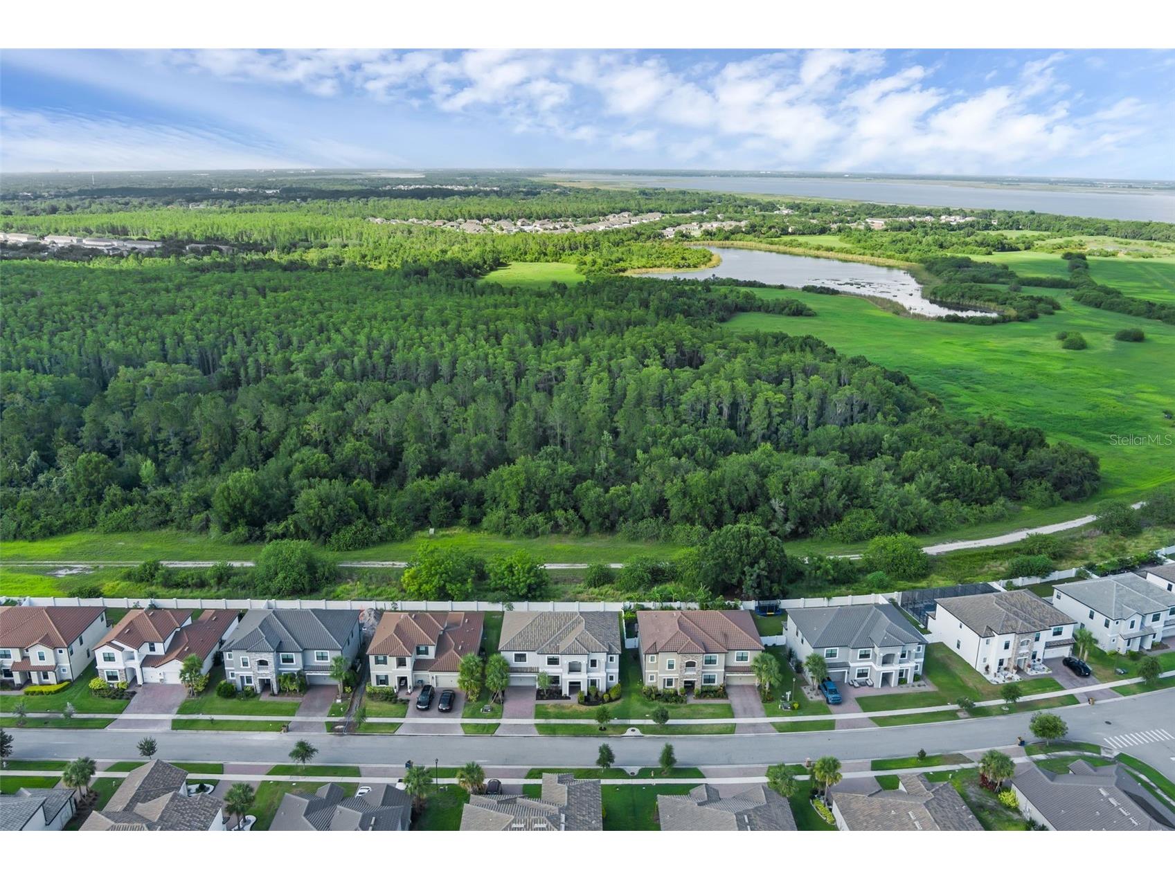 2901 Agostino Terrace Kissimmee FL 34746 - LAKE TOHOPEKALIGA O6415623 image46