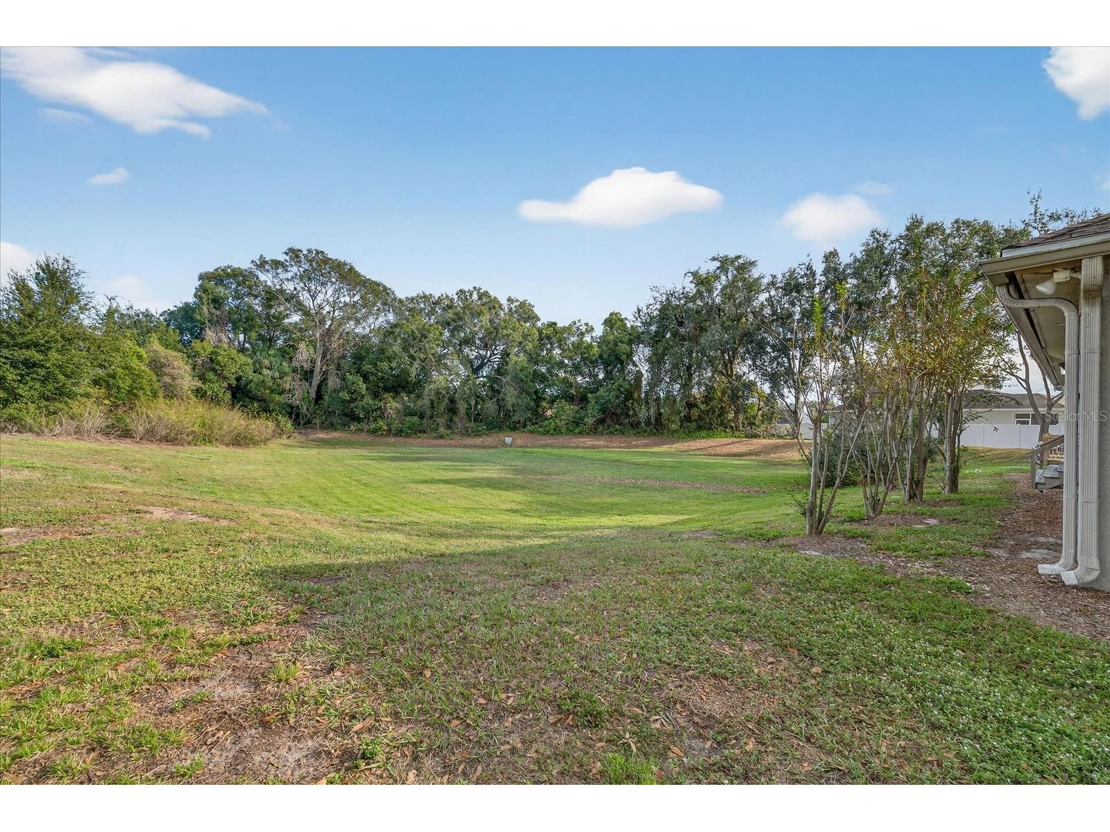 2901 Busch Lake Boulevard Tampa FL 33614 TB8456736 image4