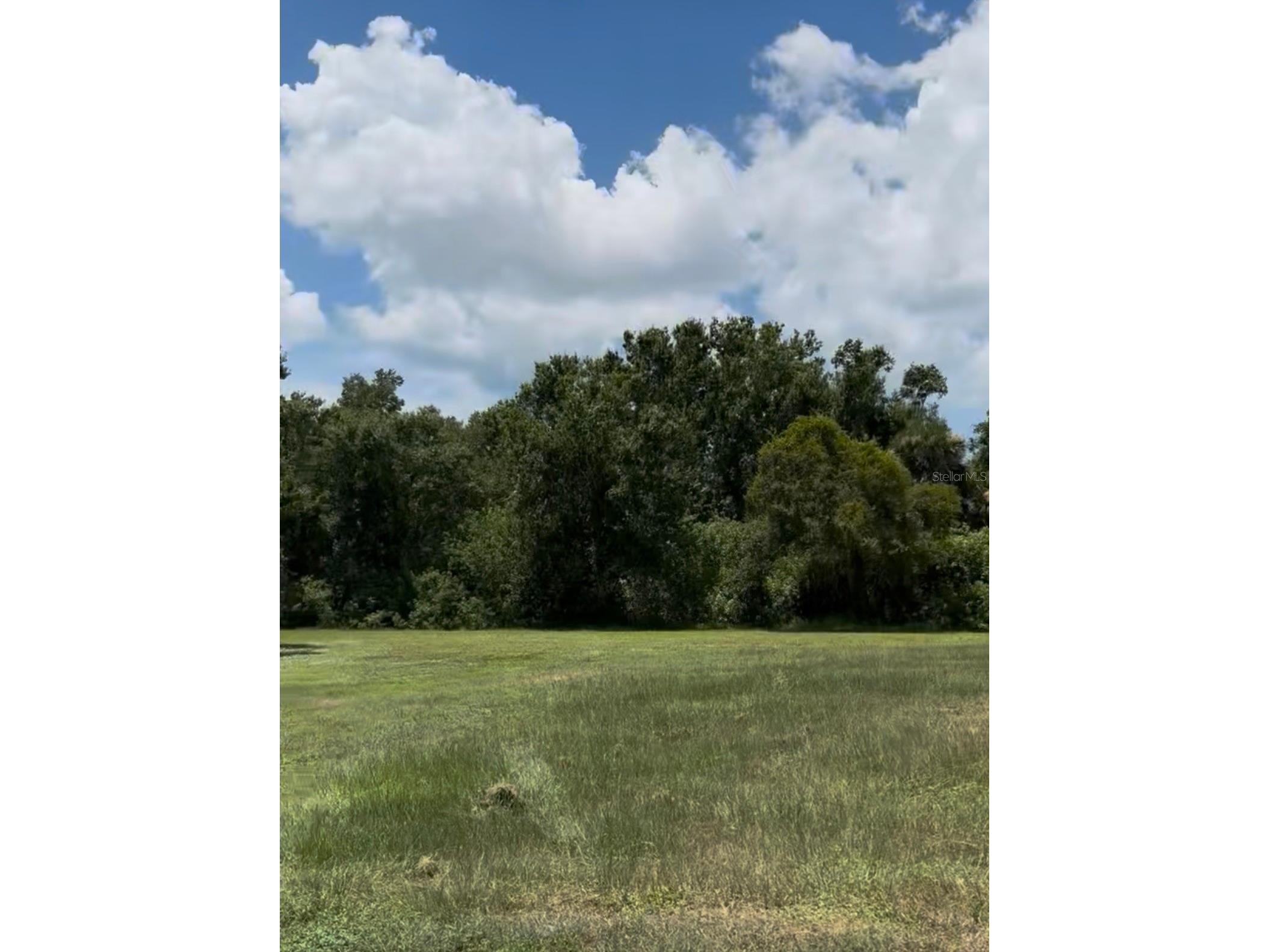 2901 Curry Lane Nokomis FL 34275 A4682629 image2