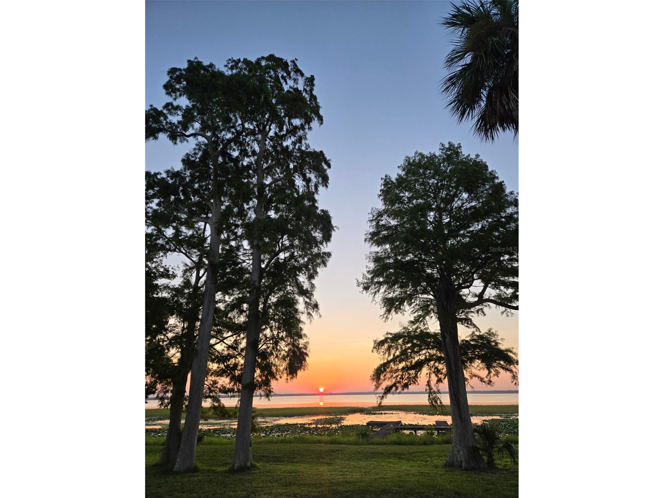 2901 Kayworth Road Lake Wales FL 33898 - LAKE PIERCE K4903025 image3