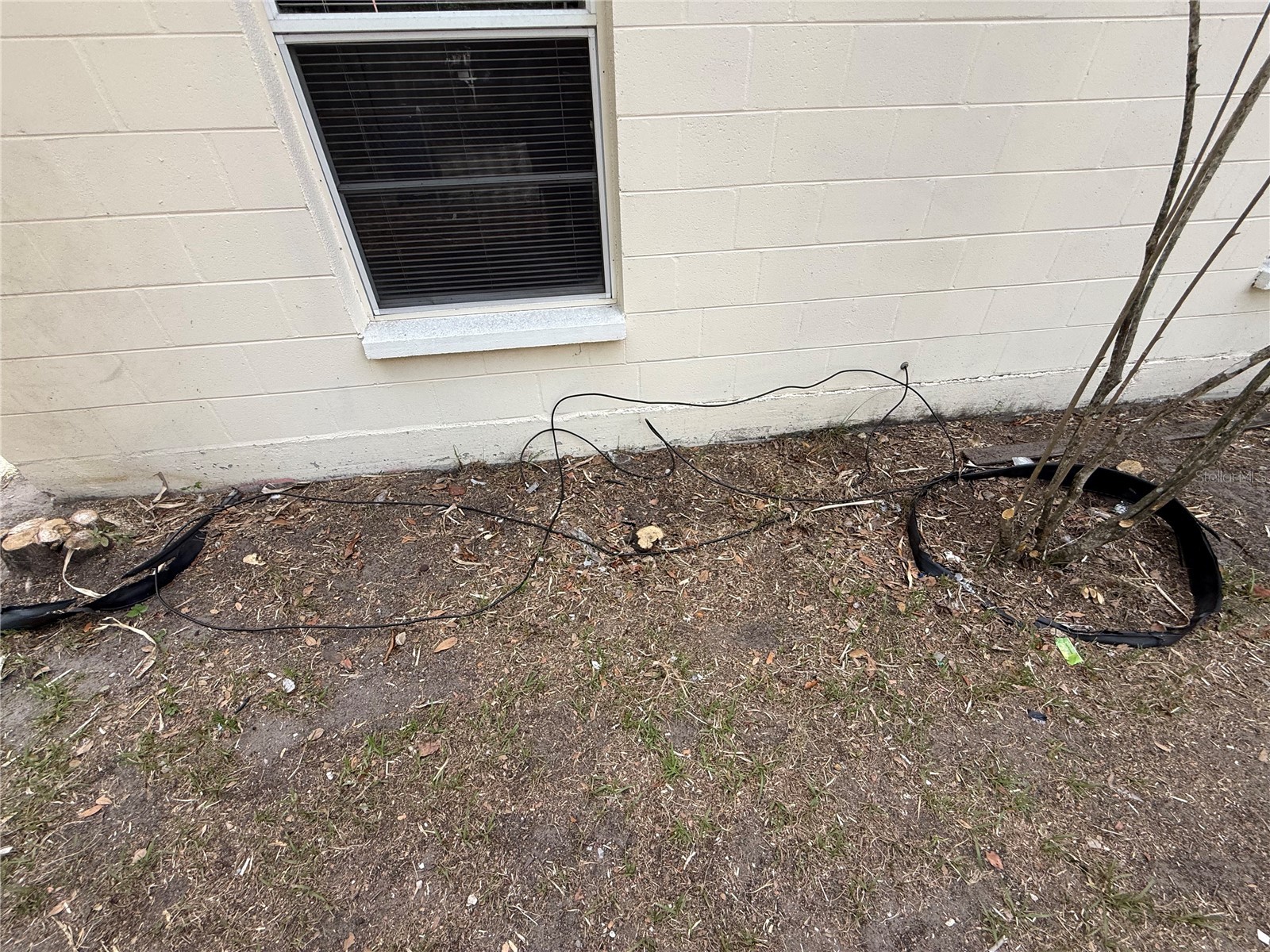 2901 N 12th Street Tampa FL 33605 TB8511334 image27