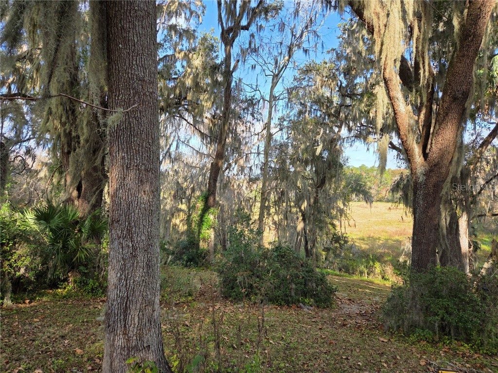 2901 SW 4th Court Gainesville FL 32601 GC536406 image9