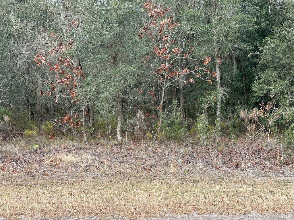 2901 W Aries Court Lecanto FL 34461 W7861047 image1