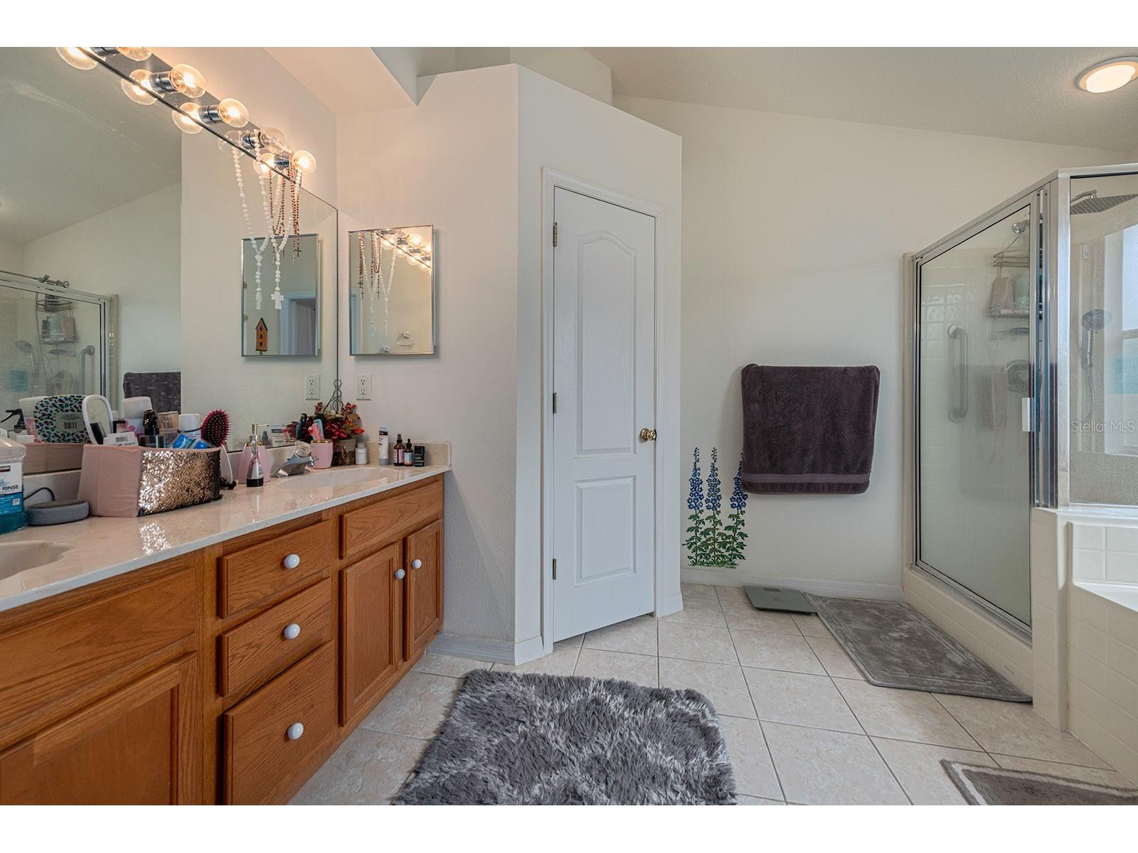 2902 Billingham Drive Land O Lakes FL 34639 TB8495026 image23